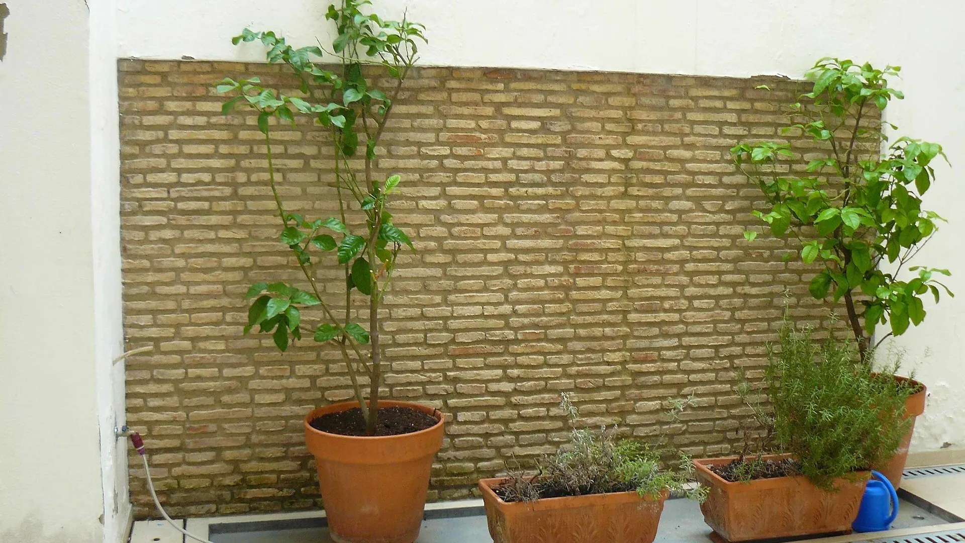 Alfaqueque Apartment Sevilla